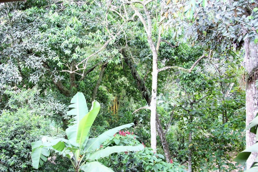 蒙特瑞尔酒店 La Fortuna 外观 照片
